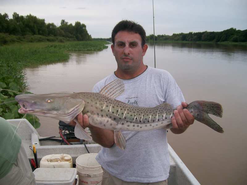 guia de pesca matas scheller 20090723
